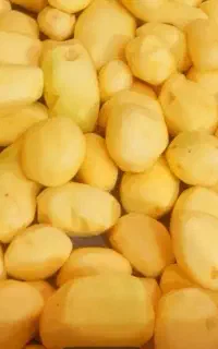خلال سیب زمینی اگریا
