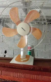دو عدد پنکه