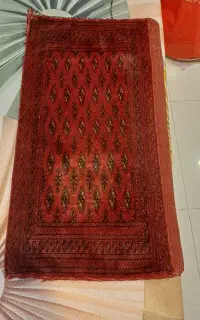 فرش دستباف ترکمن پشتی