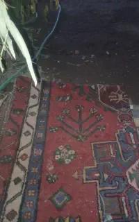 قالی محلی نصفه