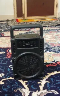 بانت