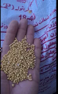 کود دی آمونیوم فسفات،رازی به قیمت کارخانه