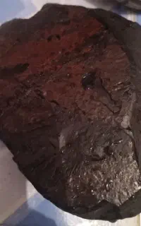 شهاب سنگ ۹ کیلویی همراه با شناسنامه
