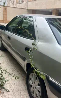 زانتیا ۸۴