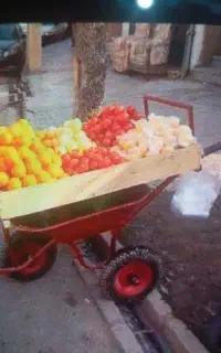 یک عدد فرغون سه چرخ نونو با تخته