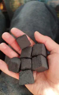 ذغال کربن پسته