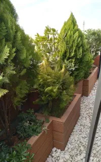 خدمات سمپاشی وباغبانی هرسکاری در تهران