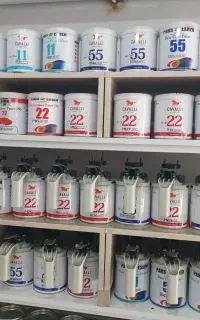 نقاشی خودرو(لوازم دوررنگ خودرو) فقط ۸ تومن
