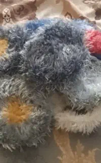 بافت اسکاج