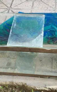 آکواریوم ماهی