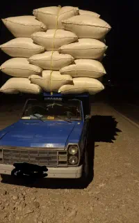 کاه وپرس گندم ویونجه وعلف