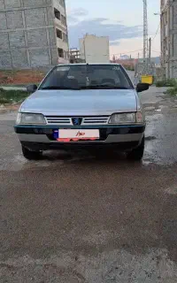 پژو۴۰۵دوگانه کارخانه ۹۱