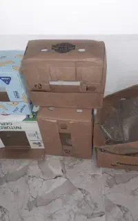 کارتن موزی