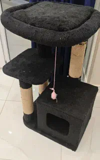 لوازم گربه