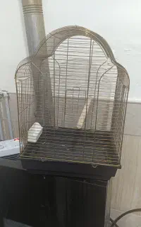 قفس پرنده