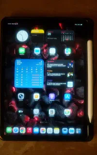 iPad pro 11inch