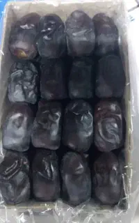 خرما مضافتی بم