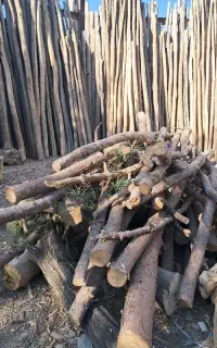 خریدار چوب