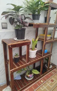 استند گل