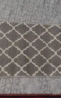 پادری