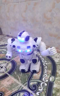 ربات