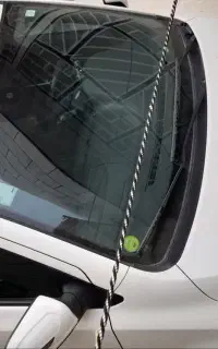 شاهین