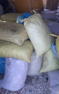 سیب زمینی