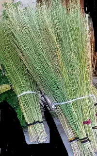 جاروی گل زردی درجه یک