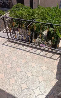 اجاره خانه ویلایی