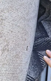 موکت پارس رول کامل آکبند