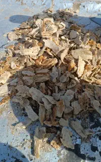 خریدوفروش نان خشک