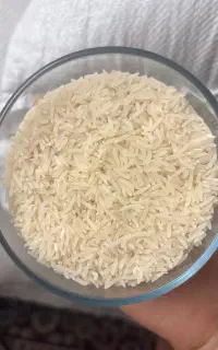 برنج فجر سوزنی