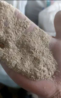سبوس شالی پراز برنج