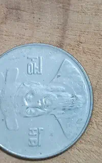 سکه