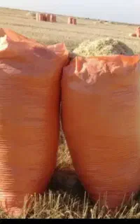 کاه میگیرم ب صورت شلیفی و کپه ای