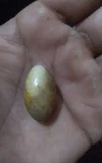 موره قیمتی