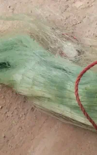 فروش تور جاروفی کنگان