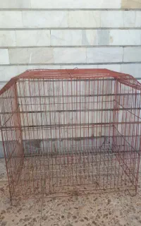 قفس پرنده