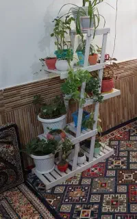استند گلدان