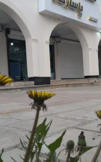 خشکشویی پاسارگاد واوان