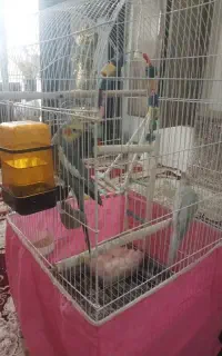 خریدوفروش