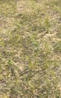 زمین خیابان ۴۵متری شرف اباد