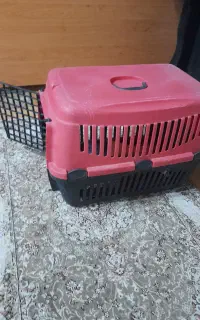 باکس سگ