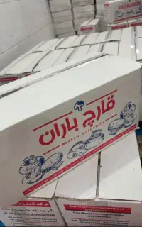 قارچ