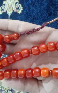 کهربا سندلوس
