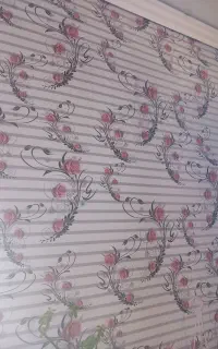 پرده دو مکانیزه