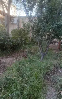 خدمات باغبانی.کندن علف هرز باغ وباغچه منازل