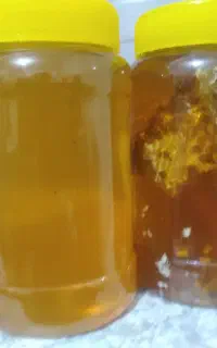 عسل کندو به شرط چاقو