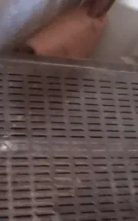بخاری گازی سالم ۳۵۰۰۰۰۰تومان