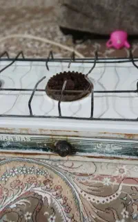 گاز سه شعله زمینی